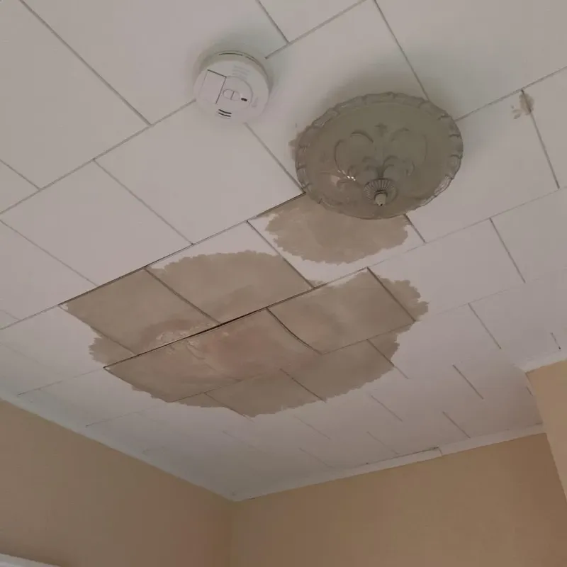 Ceiling Water Damage Repair in Salem County, NJ