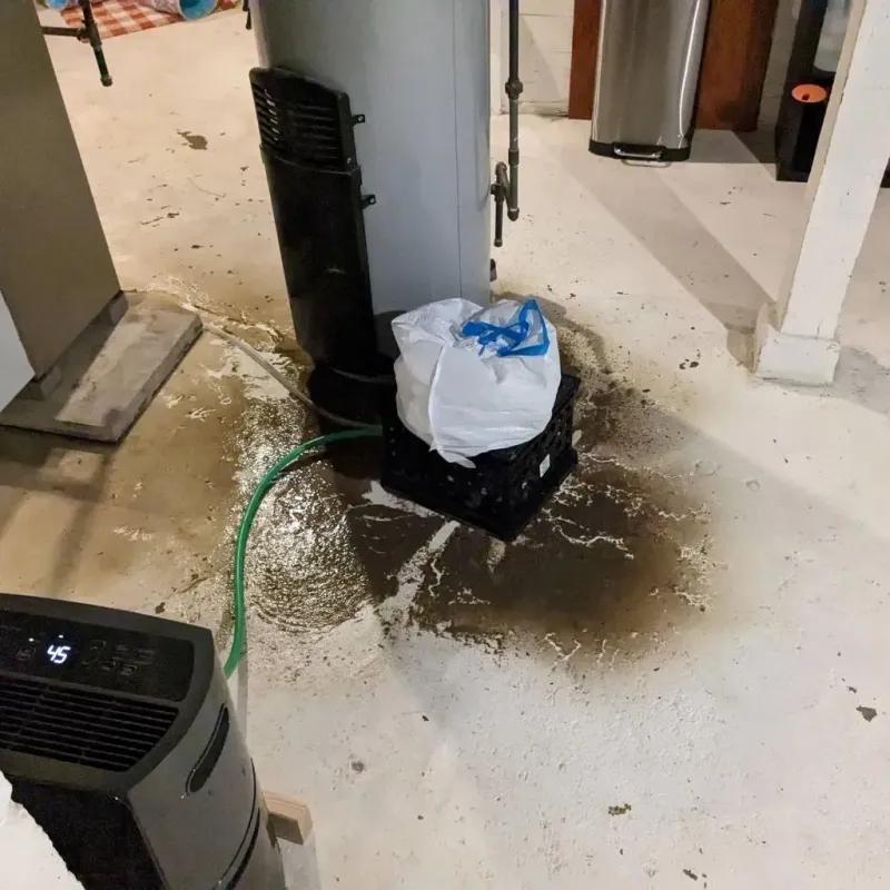 Sewage Backup Cleanup Service in Salem County, NJ